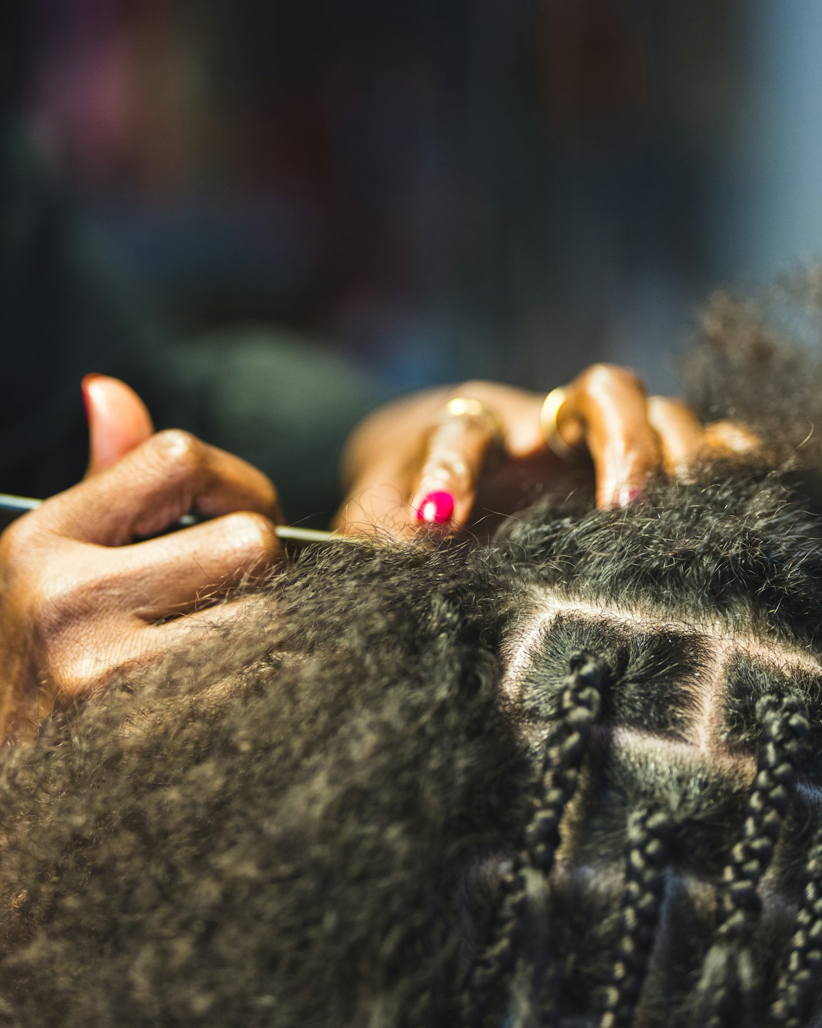 Locs, Braids & Protective